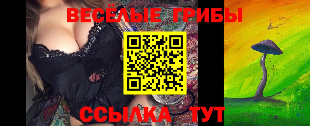 где купить наркотик  Галлюциногенные грибы ЛСД  Вход с VPN  Качканар 